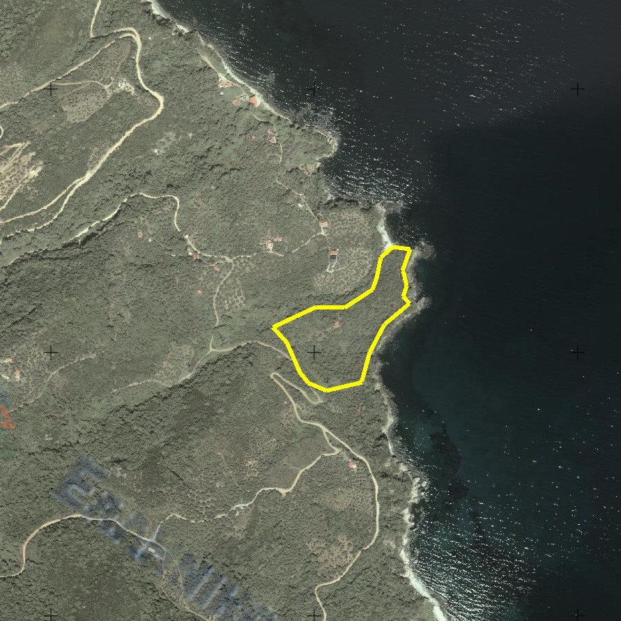 ΠΟΛΥΔΕΝΤΡΙ 32.000 τμ  οικόπεδο με σπιτι 130 τμ 